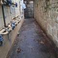 1181 Garibaldi Street - Photo 13
