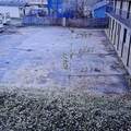 1181 Garibaldi Street - Photo 4