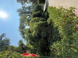 0 Nw Lotus Avenue - Photo 6