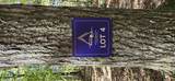 LOT 4 Gold Ridge Trail - Photo 2