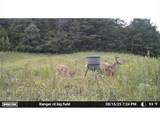 7596 Red Bud - Photo 26