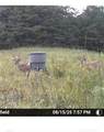 7596 Red Bud - Photo 27