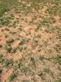 0 Newnan Road - Photo 5