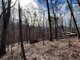 4528 Sassafras Mountain Trail - Photo 10