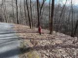 4528 Sassafras Mountain Trail - Photo 11