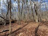4528 Sassafras Mountain Trail - Photo 13