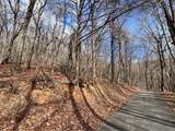 4528 Sassafras Mountain Trail - Photo 14
