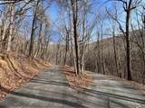 4528 Sassafras Mountain Trail - Photo 15