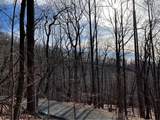 4528 Sassafras Mountain Trail - Photo 2