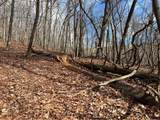 4528 Sassafras Mountain Trail - Photo 3