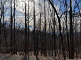 4528 Sassafras Mountain Trail - Photo 4