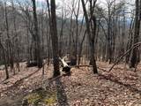 4528 Sassafras Mountain Trail - Photo 6