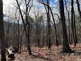 4528 Sassafras Mountain Trail - Photo 7