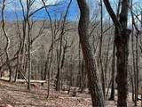 4528 Sassafras Mountain Trail - Photo 8
