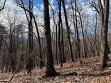 4528 Sassafras Mountain Trail - Photo 9
