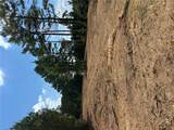 TR 3 Culp Lake Road - Photo 5