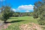 4564 Shirley Road - Photo 12
