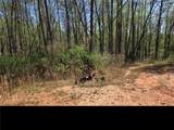 0 Thurmond Road 8.64 Acres Road - Photo 4