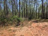 0 Thurmond Road 8.64 Acres Road - Photo 5