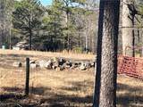 9010 Clark Road - Photo 5