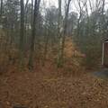 331 Bells Ferry Road - Photo 17