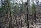 2569 Wilderness Parkway - Photo 2