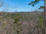 LT 285 Anglers Ridge Road - Photo 8