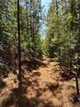 0000 Rocky Point Road - Photo 2