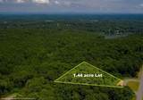 6825 Lookout - Photo 6