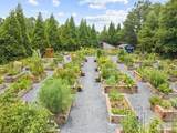 3180 Willow Creek Drive - Photo 53