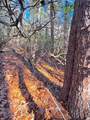 00 Horse Cove Court - Photo 17