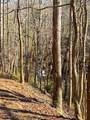 00 Horse Cove Court - Photo 4