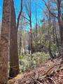 00 Horse Cove Court - Photo 6