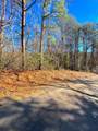 00 Horse Cove Court - Photo 8