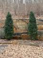 LOT 7 Rocky Knob Drive - Photo 20