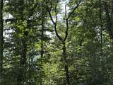 257 Andes Ridge - Photo 13