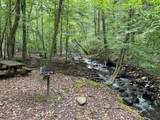 257 Andes Ridge - Photo 21