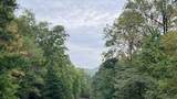 257 Andes Ridge - Photo 5