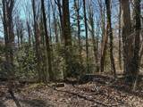 1541 Withmoor Terrace - Photo 7