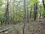 3005 Wild Turkey Knoll - Photo 6