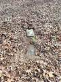 0 Hickory Log Circle - Photo 3