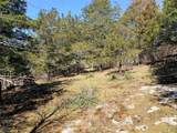 4012 Paulette Drive - Photo 6