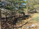 4012 Paulette Drive - Photo 7