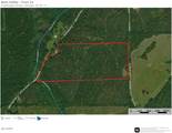 32 ACR Tract 14 - Photo 7