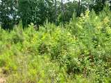 2112 Allgood Road - Photo 9