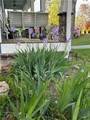 4060R Merritt Drive - Photo 116