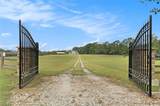 533 Buffalo Creek Road - Photo 5