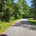 0 Spring Hill Drive - Photo 5