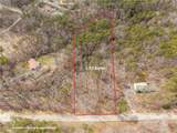 LT 167 Henderson Mountain Road - Photo 11