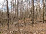 LT 167 Henderson Mountain Road - Photo 5